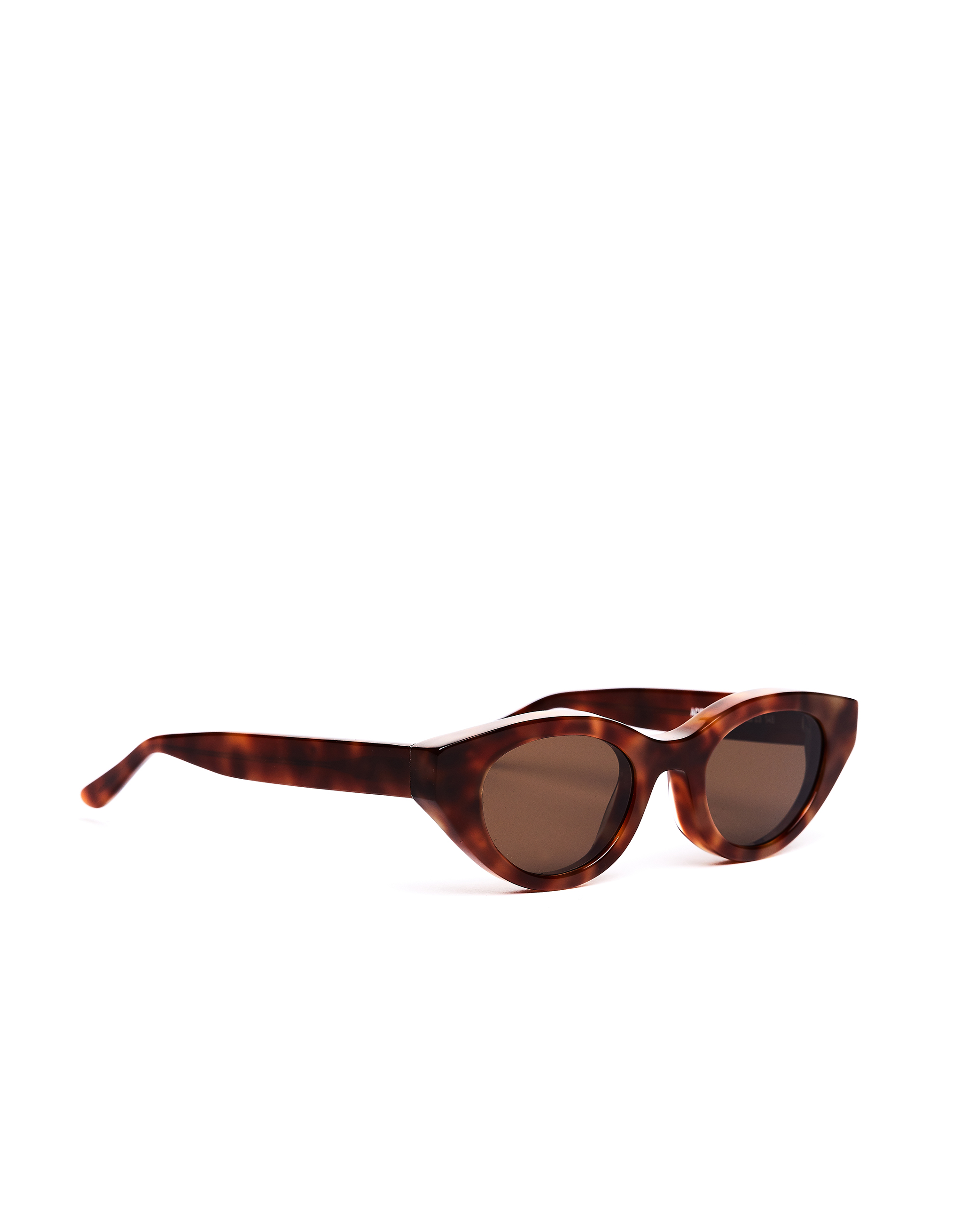 

Brown Acidity Sunglasses